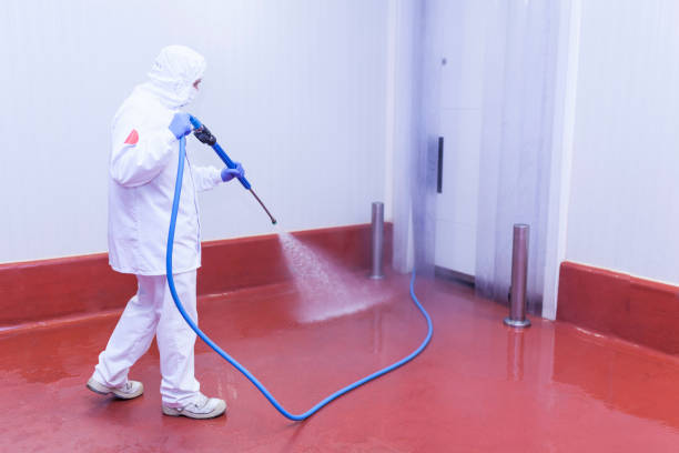 Professional Pressure Washing Services in Croom, MD