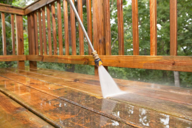 Animal Enclosure Cleaning in Croom, MD